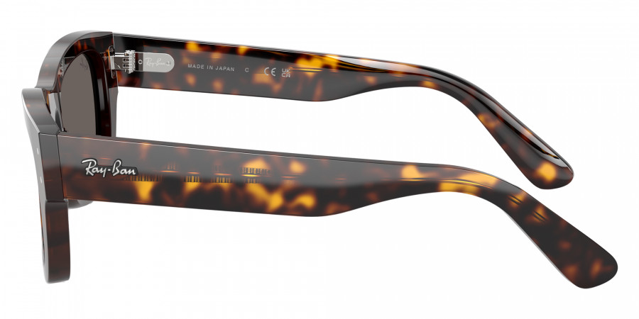 Ray-Ban™ - RB7683S Joseph