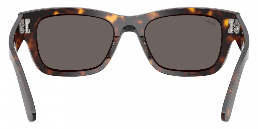 Ray-Ban™ - RB7683S Joseph
