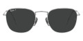 Silver / Polarized Black