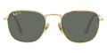 Legend Gold / Green - Polarized