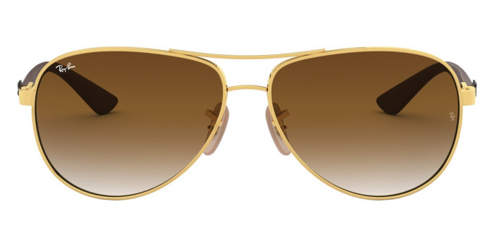 Ray-Ban™ - Carbon Fibre RB8313