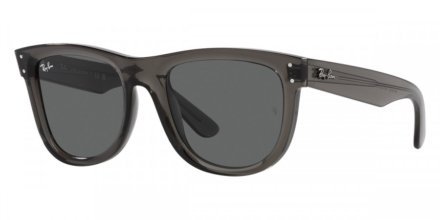 Ray-Ban™ - Wayfarer Reverse RBR0502S