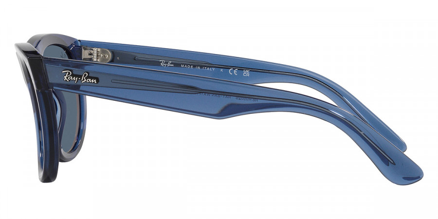 Ray-Ban™ - Wayfarer Reverse RBR0502S