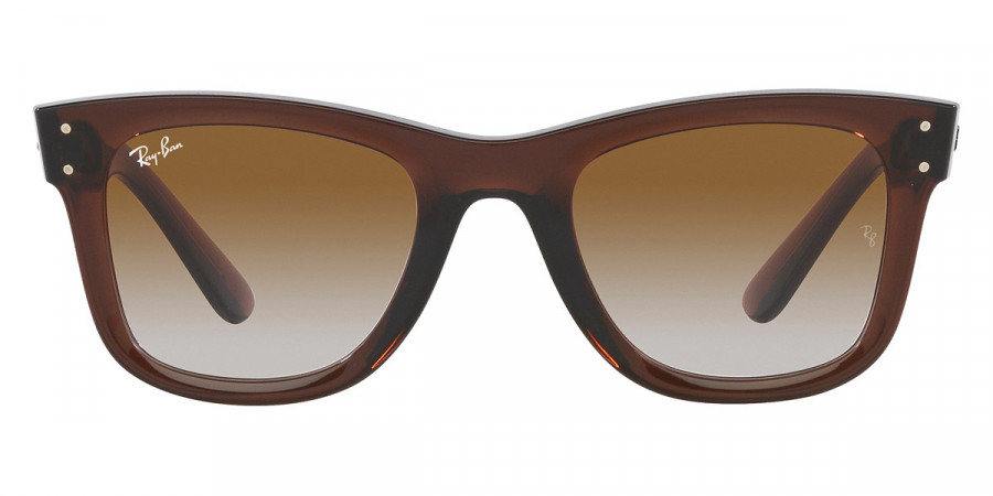 Ray-Ban™ - Wayfarer Reverse RBR0502S