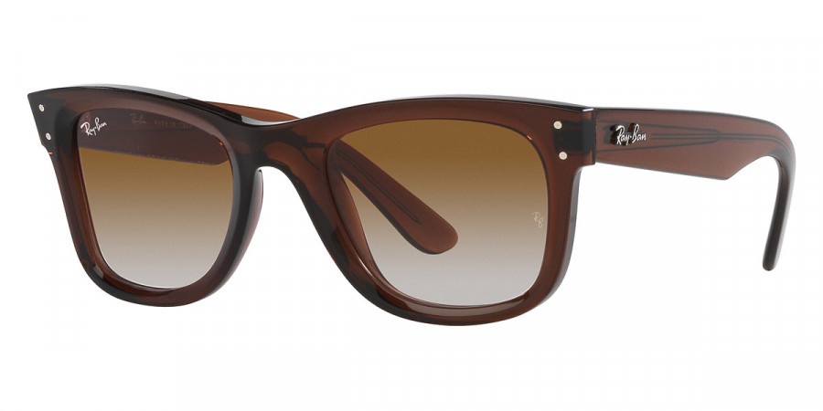 Ray-Ban™ - Wayfarer Reverse RBR0502S