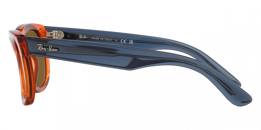 Ray-Ban™ - Wayfarer Reverse RBR0502S