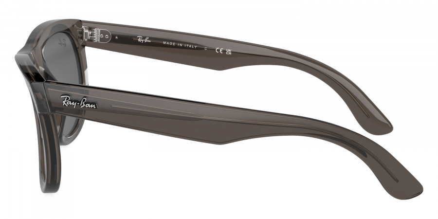 Ray-Ban™ - Wayfarer Reverse RBR0502SF