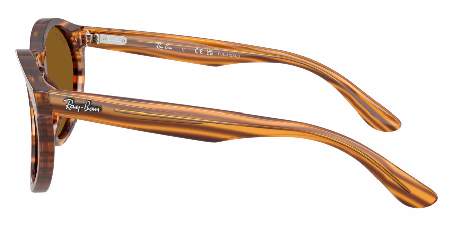 Ray-Ban™ - RBR0505S 2180 Reverse