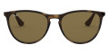 Rubber Havana / Dark Brown