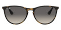 Havana / Light Gray Gradient Dark Gray