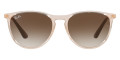 Transparent Light Brown / Gradient Brown