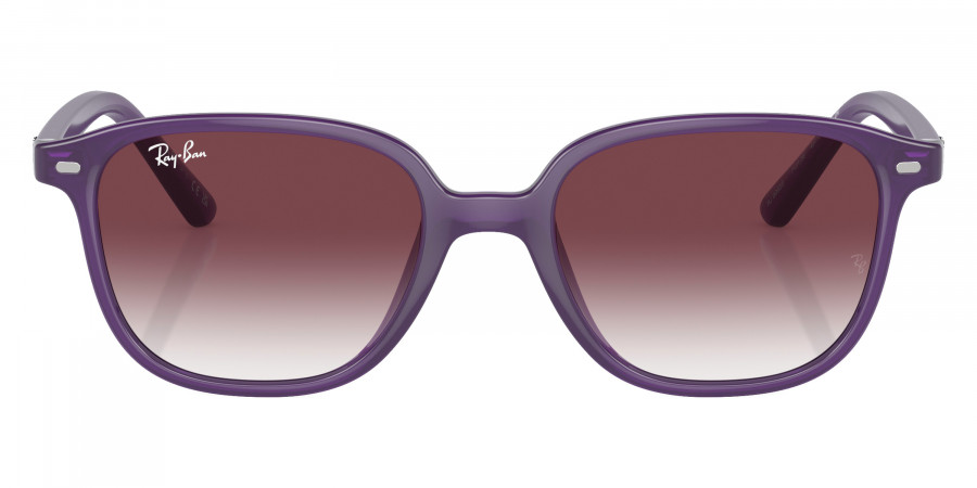 Ray-Ban™ - Leonard Jr RJ9093S