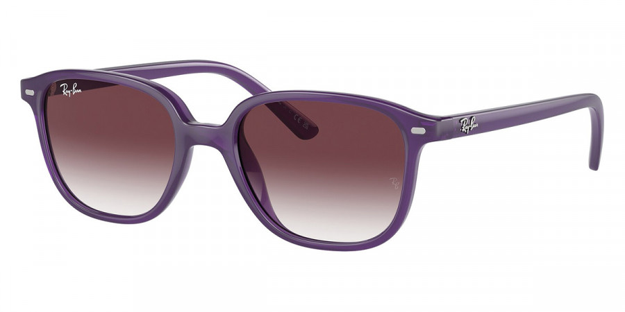 Ray-Ban™ - Leonard Jr RJ9093S