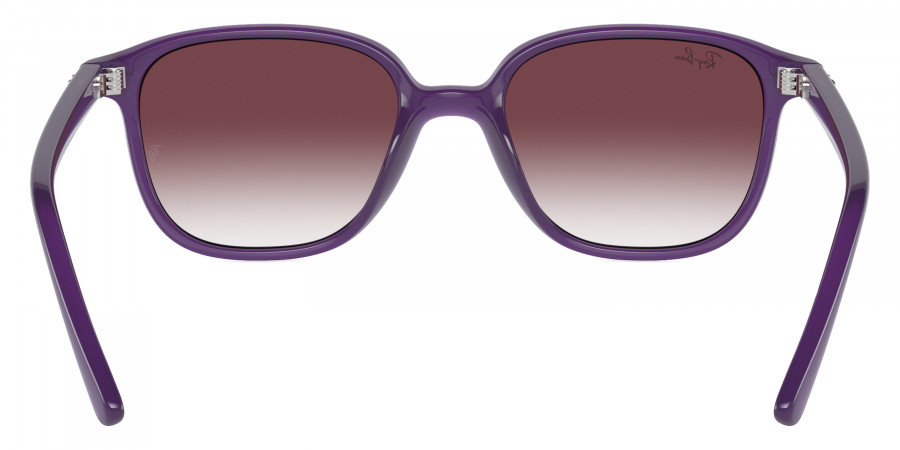 Ray-Ban™ - Leonard Jr RJ9093S