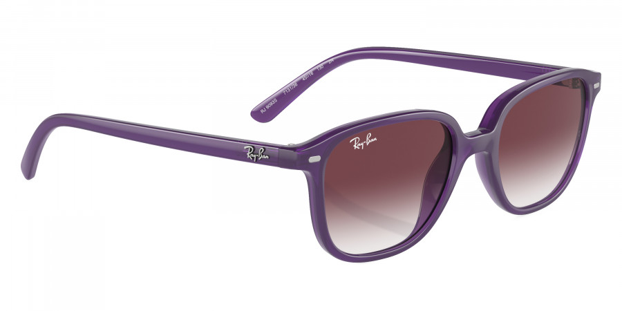 Ray-Ban™ - Leonard Jr RJ9093S