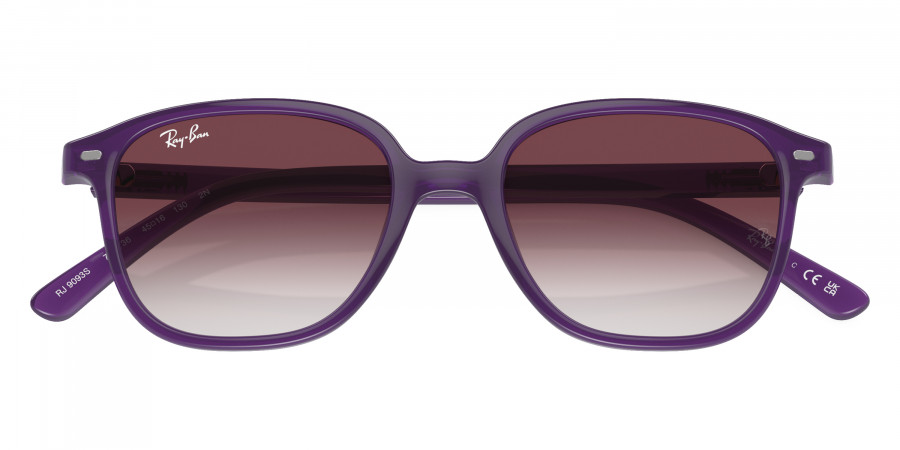 Ray-Ban™ - Leonard Jr RJ9093S