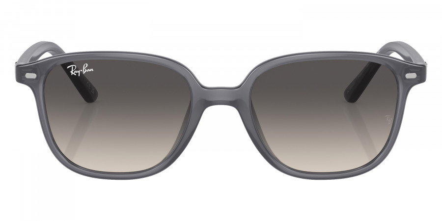 Ray-Ban™ - Leonard Jr RJ9093S