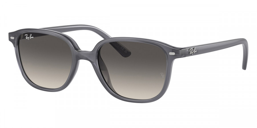 Ray-Ban™ - Leonard Jr RJ9093S