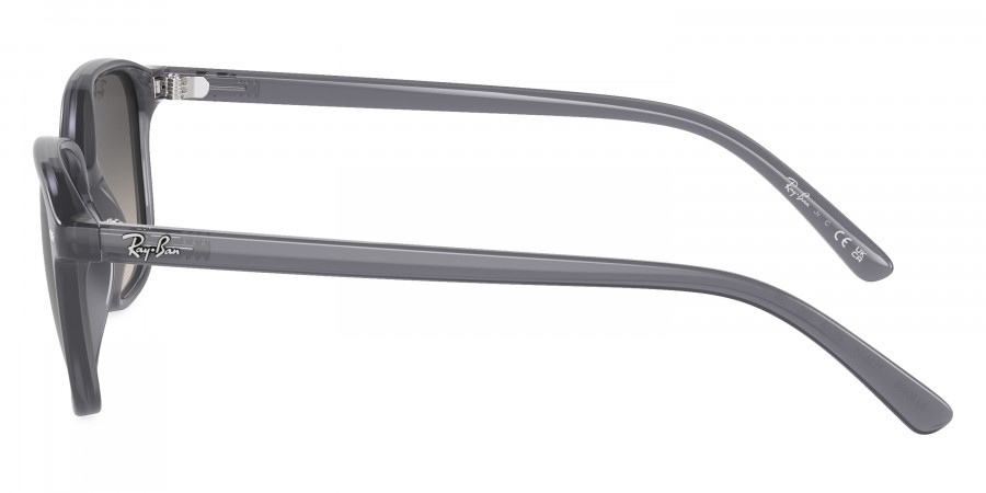 Ray-Ban™ - Leonard Jr RJ9093S