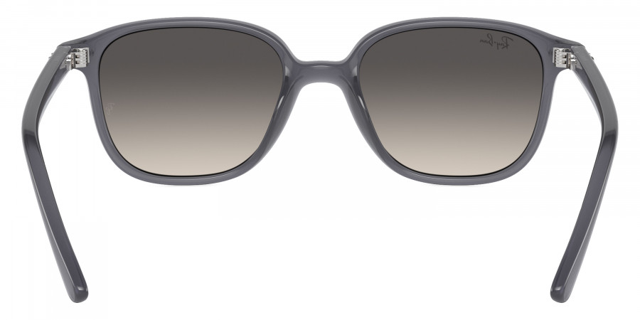 Ray-Ban™ - Leonard Jr RJ9093S