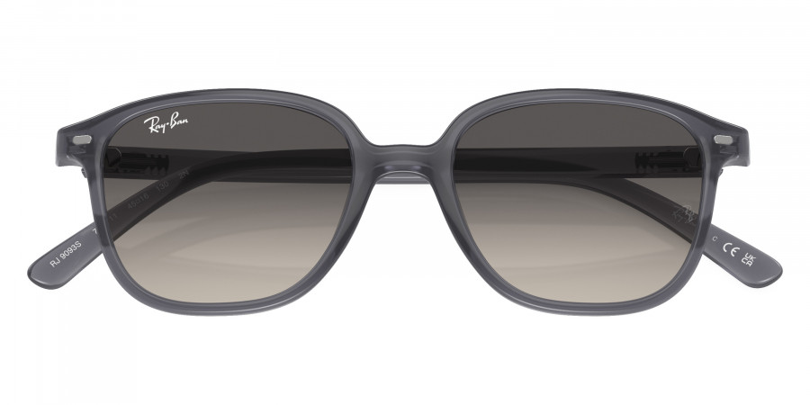 Ray-Ban™ - Leonard Jr RJ9093S