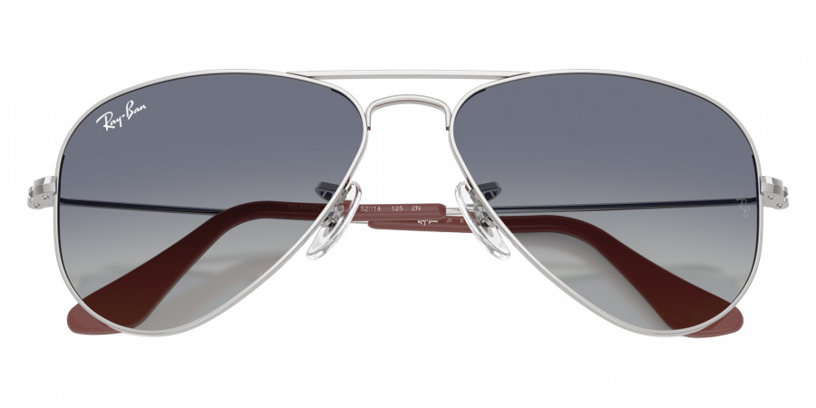 Color: Silver (212/4L) - Ray-Ban RJ9506S212/4L50