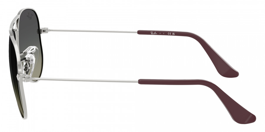 Color: Silver (302/11) - Ray-Ban RJ9506S302/1150