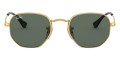Arista / Dark Green