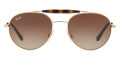 Arista / Brown Gradient