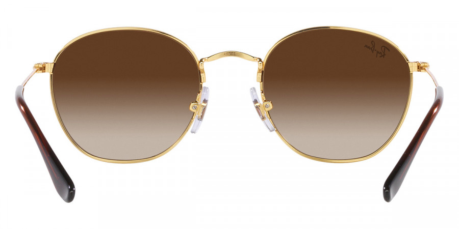 Color: Gold (223/13) - Ray-Ban RJ9572S223/1348