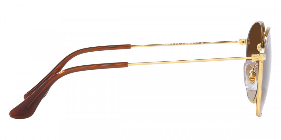 Color: Gold (223/13) - Ray-Ban RJ9572S223/1348