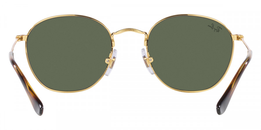 Color: Gold (223/71) - Ray-Ban RJ9572S223/7148