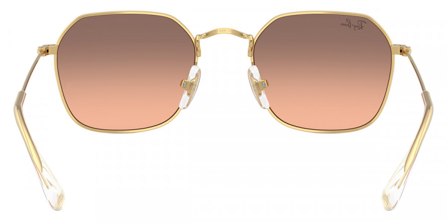 Color: Arista Gold (223/46) - Ray-Ban RJ9594S223/4649