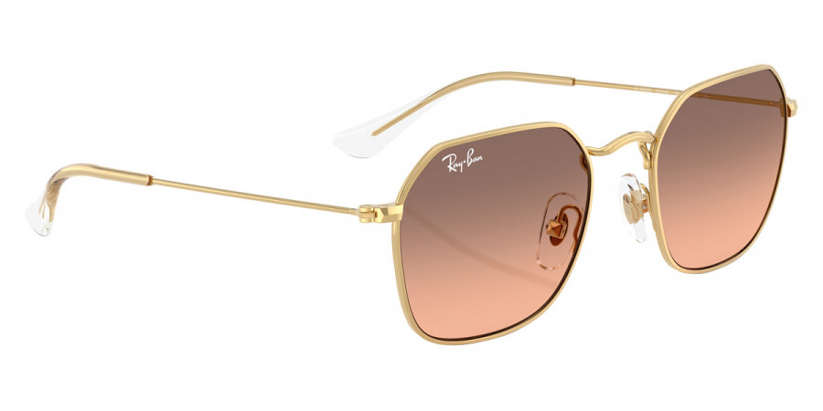 Color: Arista Gold (223/46) - Ray-Ban RJ9594S223/4649