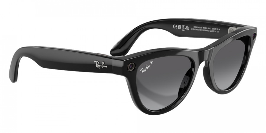 Ray-Ban™ - META Skyler Gen 2 RW4014