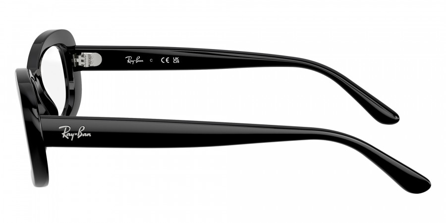 Ray-Ban™ - RB2221V