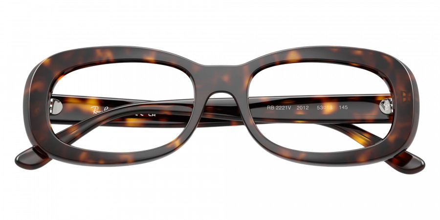 Ray-Ban™ - RB2221V