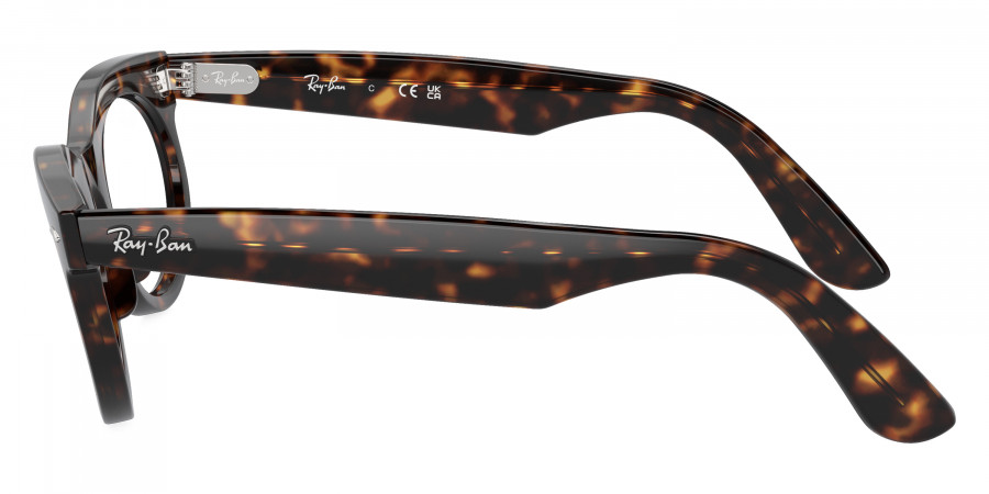 Ray-Ban™ - Wayfarer Oval RX2242V