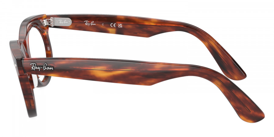 Ray-Ban™ - Wayfarer Oval RX2242VF