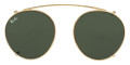 Arista / Dark Green