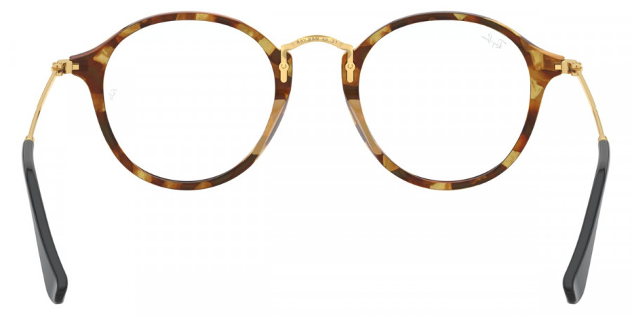 Ray-Ban™ - Round RX2447V