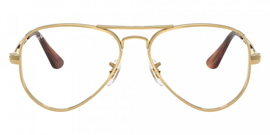 Ray-Ban™ - RB3925V Aviator Max