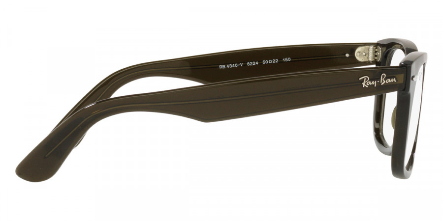 Ray-Ban™ - Wayfarer Ease RX4340V