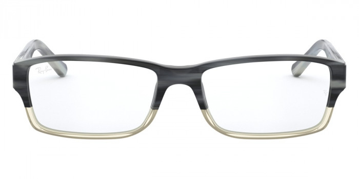 Ray-Ban™ RX5169 5540 52 - Gray Horn Gradient Gray