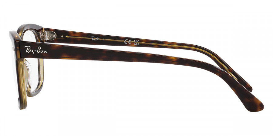 Color: Havana on Transparent (8285) - Ray-Ban RX5383828552