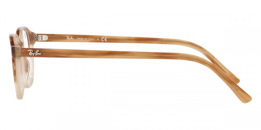 Ray-Ban™ - Leonard RX5393