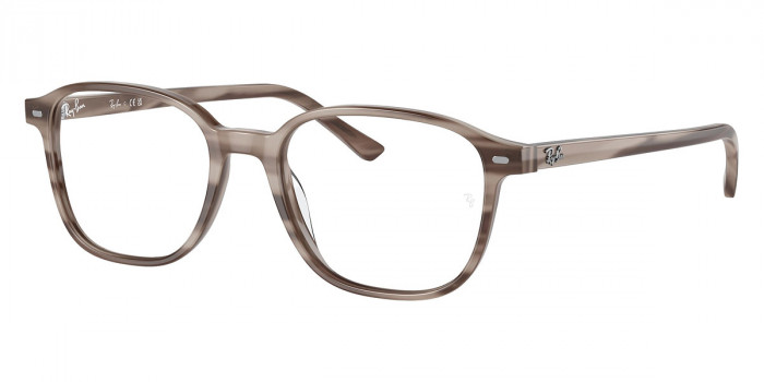 Ray-Ban™ - Leonard RX5393