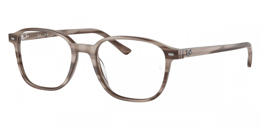 Ray-Ban™ - Leonard RX5393