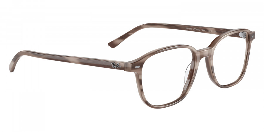 Ray-Ban™ - Leonard RX5393