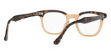 Color: Havana On Transparent Brown (8109) - Ray-Ban RX5398810948
